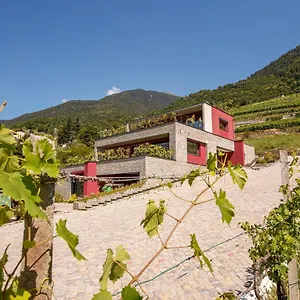 Nebbiolo Wine Bed & Breakfast